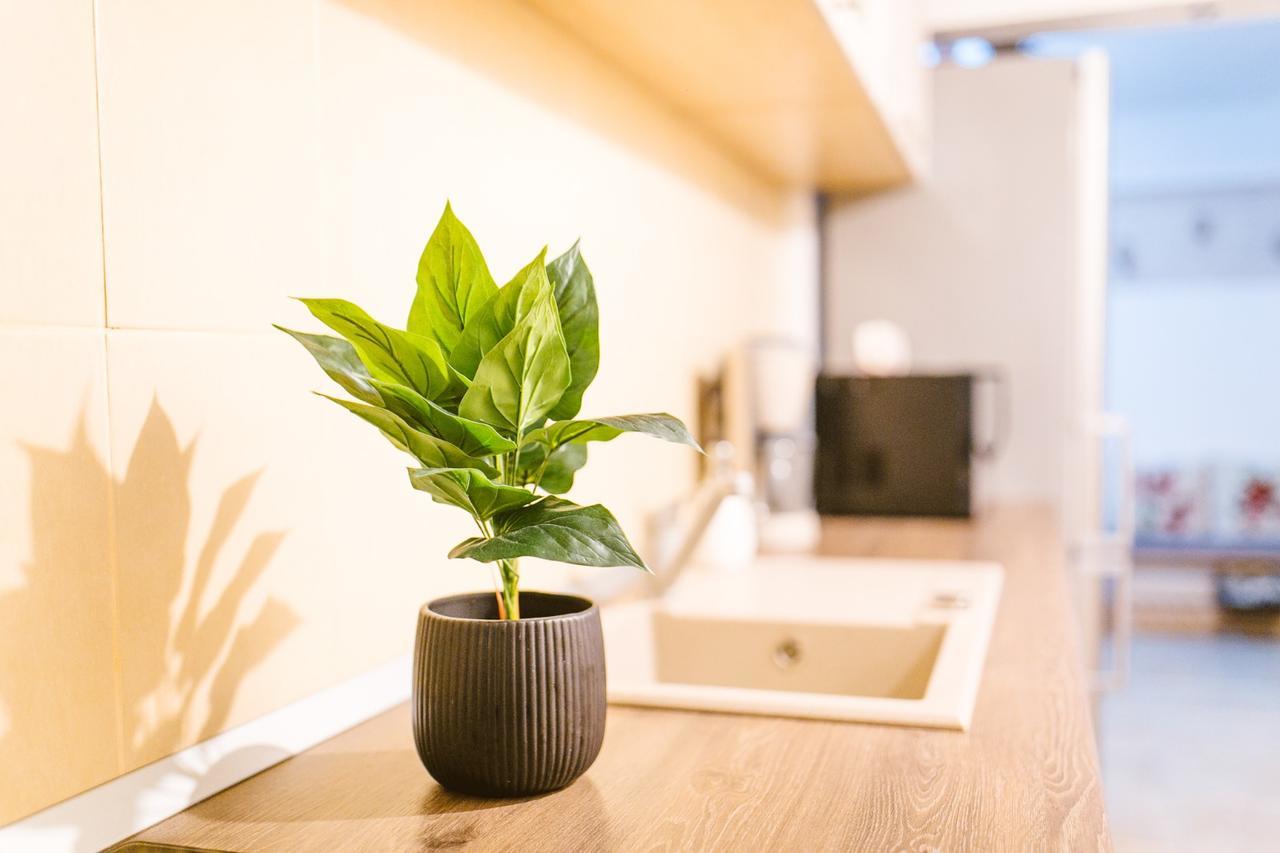 Apartament Maria アルバ・ユリア エクステリア 写真